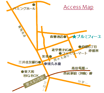 ACCESS MAP