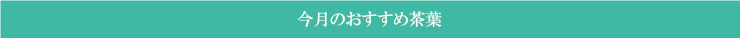 今月のおすすめ茶葉