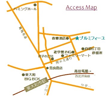 ACCESS MAP